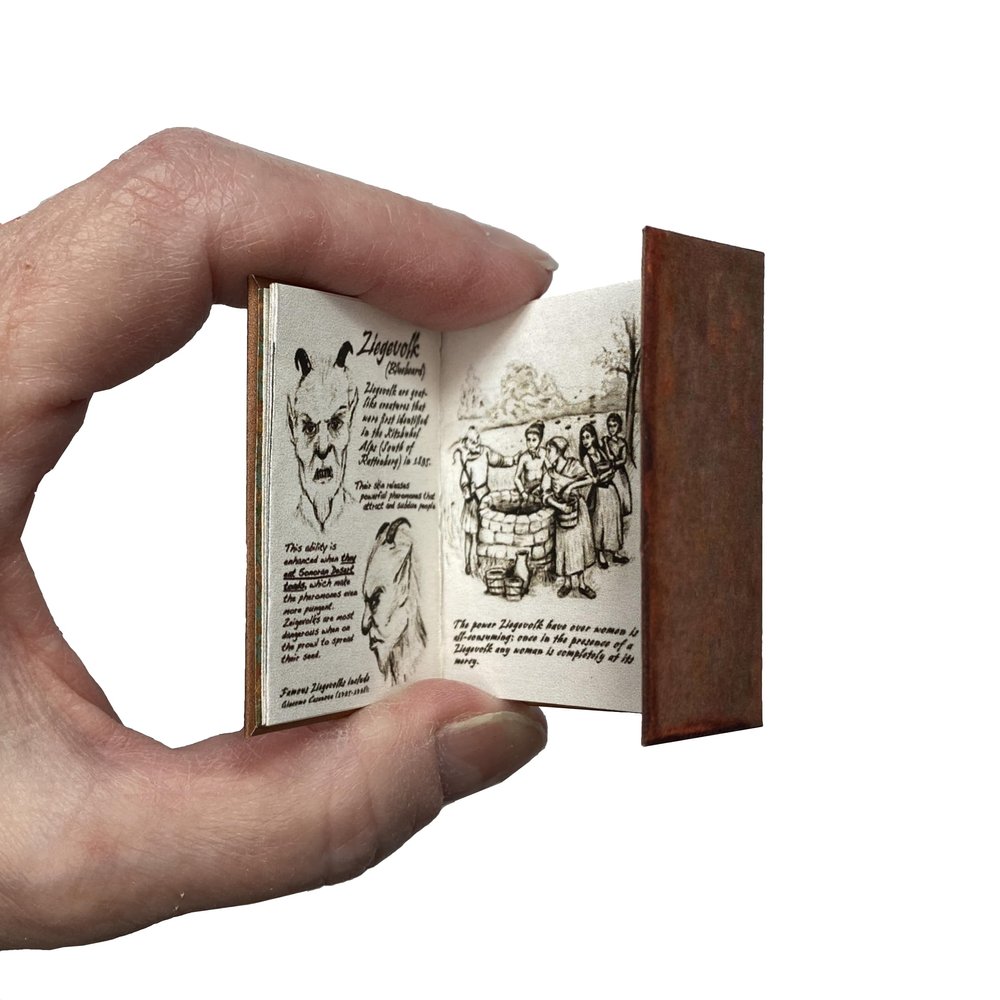 1/6 Scale Book for 12 Inch Figure Miniature Doll Accessory Illustrated Readable Wesen Book of Lore by Little Things of Interest