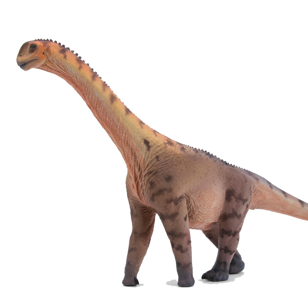 HAOLONGGOOD New Camarasaurus 135 Science and Art Model (Han Tao)