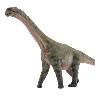 HAOLONGGOOD New Camarasaurus 135 Science and Art Model (Peng Qi)