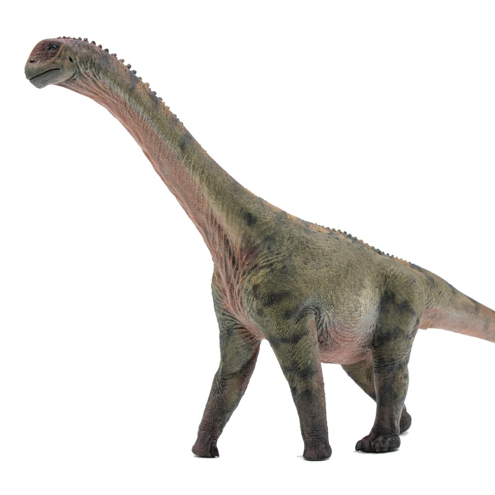 HAOLONGGOOD New Camarasaurus 135 Science and Art Model (Peng Qi)