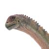 HAOLONGGOOD New Camarasaurus 135 Science and Art Model (Peng Qi) view 4