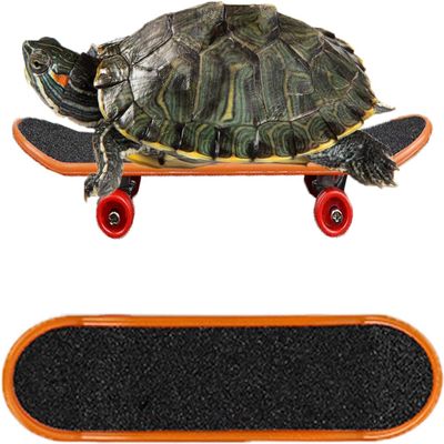 FORZENA Turtle Toys Mnini Skateboard Turtle Fast Skate Accessory Funny Pet Turtles Playing & Training Toy Finger Walking Skateboards Parrot Reptile Skateboard Toys(Random Colors) (3PC)