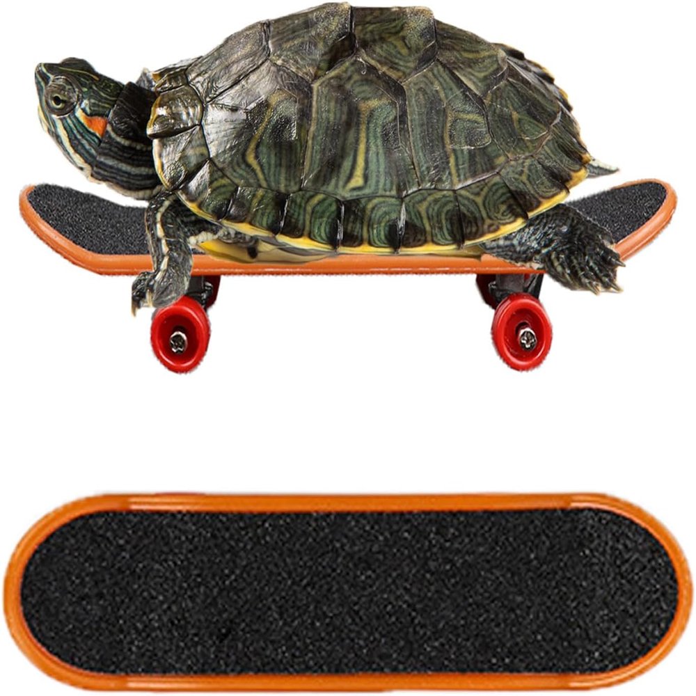 FORZENA Turtle Toys Mnini Skateboard Turtle Fast Skate Accessory Funny Pet Turtles Playing & Training Toy Finger Walking Skateboards Parrot Reptile Skateboard Toys(Random Colors) (3PC)