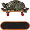 FORZENA Turtle Toys Mnini Skateboard Turtle Fast Skate Accessory Funny Pet Turtles Playing & Training Toy Finger Walking Skateboards Parrot Reptile Skateboard Toys(Random Colors) (3PC) view 1