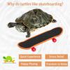 FORZENA Turtle Toys Mnini Skateboard Turtle Fast Skate Accessory Funny Pet Turtles Playing & Training Toy Finger Walking Skateboards Parrot Reptile Skateboard Toys(Random Colors) (3PC) view 2