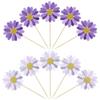 Ephlyn 24Pcs Purple Daisy Cupcake Toppers Flower Cake Toppers Daisy Cake Decorations Chrysanthemum Cupcake Toppers Spring Daisy Flower Cake Picks for Birthday Wedding Supplies view 3