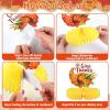 10pcs Thanksgiving Table Decorations Thanksgiving Honeycomb Centerpiece Party Decoration Thanksgiving Banner Set Fall Table Decor Turkey Pumpkin Truck for Autumn Theme Thanksgiving Party view 4