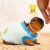 Clysee 10 Pcs Guinea Pig Clothes, 5 Guinea Pig Costume Outfit, 5 Mini Hat with Adjustable Strap Small Animal Warm Vest Sweater Cozy Hand Knitted Hat for Hamster Bunny(Macaron Style) view 4
