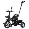 DreamsCT Toddler Tricycles for 1-6 Years Old Kid Tricycle with Push Handle Balance Bike for Boys Girls - Black view 1
