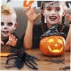 HOOTNEE 20pcs Spider Plastic for Halloween Open Style Plaything Reusable Decorations for Parties Festivals and Bars Fun Cosplay Ornaments view 3