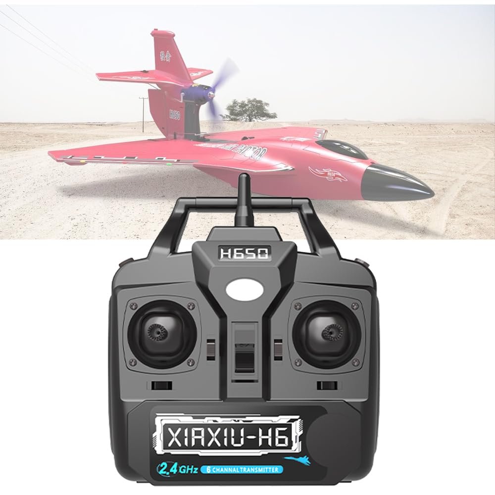 Rumdout 6CH 2.4GHz R/C Transmitter for H650 R/C Airplanes