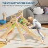BlueWood 2024 8-in-1 Pikler Triangle Climbing Set Toddler Toys Indoor Baby Jungle Gym Climber Playground for Kids - Rainbow view 4