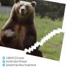 1000 Piece Jigsaw Puzzles for Adults Challenging Puzzle Wooden Picture Puzzle Personalized Custom Hi Bear Sit on The Lawn Wood Puzzle for Family Game Nights Gifts 29.5x19.7 inches Puzzle view 3