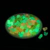 100pcs Mini Resin Duck,15 mm Dollhouse Dcor Glow in The Dark for Aquarium Decor Micro Fairy Garden Landscape Hide,Seek Party Toys,Easter Basket Stuffer, Gift for All Ages (White-Duck) view 2
