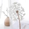 Iuokuby Dandelion Embroidery Study Sheer Curtains Home Decoration Gauze Voile Draperies for Living Kids Baby Room Bedroom(1 Panel, W 52 x L 84 inch, White) view 2