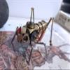 3D DIY Steampunk Mechanical Insect Cricket Full Metal Assembled Model Pure Handmade Crafts Creative Ornaments (DIY Cricket) view 4