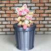 Articulated Raccoon with Trash Can, 2 pcs 3D Printed Racoon Fidget Toy, Mother and Child Strawberry Milk Panda Racoon Toy AR007 view 1