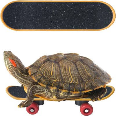 FORZENA Turtle Skateboard Toys Fast Skate Accessory Funny Pet Playing Training Toy Mini Walking Skateboards Parrot Reptile Finger Skateboard Toys (12PC)