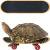 FORZENA Turtle Skateboard Toys Fast Skate Accessory Funny Pet Playing Training Toy Mini Walking Skateboards Parrot Reptile Finger Skateboard Toys (12PC) view 1