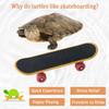 FORZENA Turtle Skateboard Toys Fast Skate Accessory Funny Pet Playing Training Toy Mini Walking Skateboards Parrot Reptile Finger Skateboard Toys (12PC) view 2