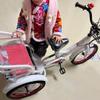 SAeWare Toddler Pedal tricycles for Age 2-10,Trike,Chain Bike,Tandem trikes with Rear seat,Kids tricycles with Single Brake,3 Wheelers,Spoke Wheel (Red 14 in) view 3