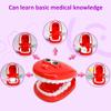 Hylukon Doctor Kit, Dentist Kit with Pretend Play Set of Teeth and Dental Accessories, Pretend Dentist Play Set, Christmas Birthday Costume Role Play Dress Up Gift for Teen view 4