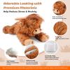 22" & 4.5 lbs Highland Cow Weighted Stuffed Animal, Cuddly & Soft Kids' Plush Toy Pillows for Companion, Large Plushies with Removable Ceramsite Bag, Gifts for Adults, Kids, Boys and Girl view 2