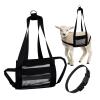 Calf Sling for Weighing Animals, Newborn Livestock Calf Scale Hanging Weight Scale Sling with Adjustment Strap, for Weighing Calves Lambs Goats view 4