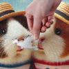 1000 Pieces Jigsaw Puzzle Tropical Guinea Pig Sturdy 2mm Puzzle Pieces Funny Puzzle for Adults Kids view 4