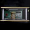 Xiaojikuaipao 1/18 Mini Diorama Parking Garage w/LED s | Model Car Display w/ 120 LEDs | Wooden & Acrylic | 15.43x14.53x7.17inch | Collectible Home Decor | Garage Diorama - Green Wall view 2