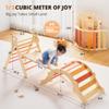 BlueWood Pikler Triangle Set, Toddler Wooden Climbing Toys Indoor 7in1 Foldable Climber for Kids, Montessori Philosophy Play Jungle Gym with Arch, Ramp, Ladder (Farm Charm Autumn) view 2