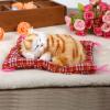 Acouto Yellow Kitten P Set Simulation S Cats Doll with Sound Er e Christmas Soft Cat P S (Yellow Stamp Will Call) view 1