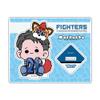 Hokkaido Nippon Ham Fighters Kotaro Kiyomiya Acrylic Stand Mochocho E view 1