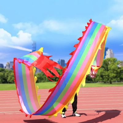 TZLGMDER Fitness Toys 6 8 10m Silk Dancing Dragon, Outdoor Fitness Dancing Dragon Rainbow Streamer with Rope and Bag(10 m/33 FT Length)