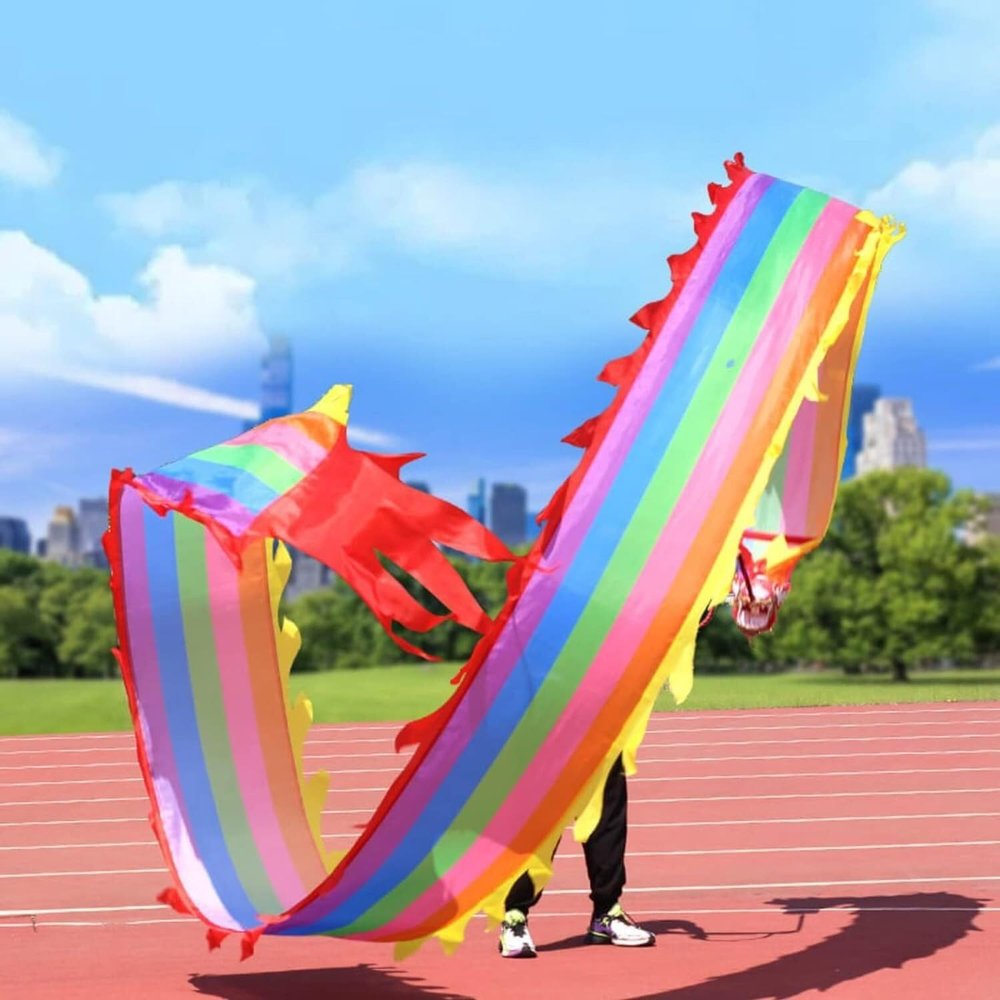 TZLGMDER Fitness Toys 6 8 10m Silk Dancing Dragon, Outdoor Fitness Dancing Dragon Rainbow Streamer with Rope and Bag(10 m/33 FT Length)
