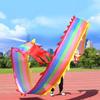 TZLGMDER Fitness Toys 6 8 10m Silk Dancing Dragon, Outdoor Fitness Dancing Dragon Rainbow Streamer with Rope and Bag(10 m/33 FT Length) view 1