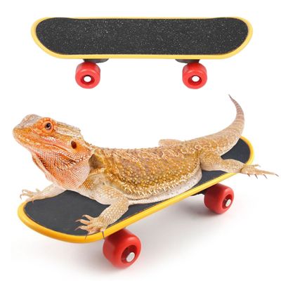 PUMEXFE Beard Dragon Toys Funny Finger Skateboard Play Training Toys for Small Pets Turtles Parrots Reptiles (L,3PC)
