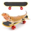 PUMEXFE Beard Dragon Toys Funny Finger Skateboard Play Training Toys for Small Pets Turtles Parrots Reptiles (L,3PC) view 1