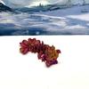 3D Printed Dragon, 3D Printed Articulated Dragon, Clover Crystal Easter Gemstone Orchid Rose Coral Reef Woodland Dragon, Fidget Toy Adults Fidget Toys - BD1 (Clover Baby Dragon, Red Purple Gold) view 1