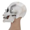 ariarly Skull Mask Creepy with Moving Jaw Halloween Full Head Skull Mask Scary Skeleton Masks Latex for Cosplay Party Props view 2