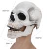 ariarly Skull Mask Creepy with Moving Jaw Halloween Full Head Skull Mask Scary Skeleton Masks Latex for Cosplay Party Props view 4