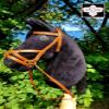 Hobby Horse Big A3 (Horse on stick) with bridle as pictured (black) view 3