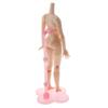 Adjustable Doll Stand Pink Display Holder for 12 Inch Blythe Licca Azone view 3