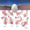 3D Printed Baby Dragon with Dragon Egg, Articulated Clover Crystal Easter Gemstone Orchid Rose Sushi Woodland Dragon White and Blue Dragon, Fidget Toy for Autism ADHD BD007WP (Rose Dragon) view 4
