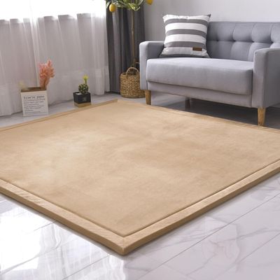 DSSHENGDS Coral Velvet Rug for Bedroom Dormitory Yoga,Home Decor for Living Room,Educational Classroom Nursery Bedroom Crawling Mat Non-Slip Rug 2cm-A- 100 * 220cm