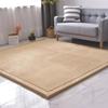 DSSHENGDS Coral Velvet Rug for Bedroom Dormitory Yoga,Home Decor for Living Room,Educational Classroom Nursery Bedroom Crawling Mat Non-Slip Rug 2cm-A- 100 * 220cm view 1