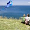 3D Kite Large Blue Dolphin Beach Kites with Huge Frameless Soft Parafoil Gift for Kids Family (Blue and White view 3
