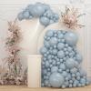 108Pcs Dusty Blue Double Stuffed Balloons Different Size, 18/12/10/5 inch Matte Grey Blue Balloons Garland Arch kit for Birthday Gender Reveal Neutral Baby Shower Party view 1