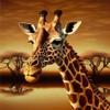 300 Pieces of Puzzle,Giraffe Animal Series Wooden Puzzle,Dust-Free Perfect Interlocking,Suitable for Home Decoration,Birthday Gifts,Suitable for Both Men and Women view 1