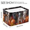 STAYTOP Pumpkin and Bulldog Large Storage Basket 2PCS,Collapsible Toy Storage Bin Laundry Basket with Handle,Used for Home Closets, Offices, Bedrooms view 3